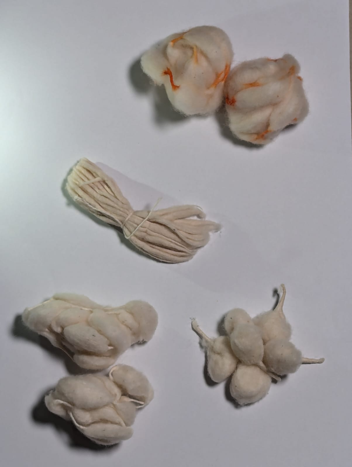 Ananta Padmanabha (Ananta Chaturdashi) Puja Kit