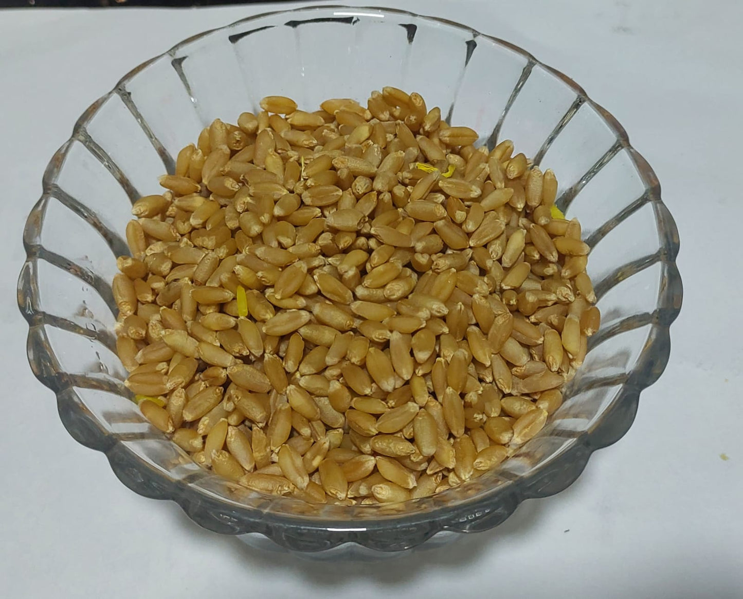 Ananta Padmanabha (Ananta Chaturdashi) Puja Kit